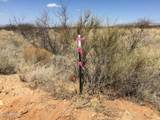 000 Cougar Trail - Photo 20
