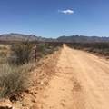 000 Cougar Trail - Photo 21