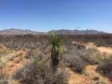 000 Cougar Trail - Photo 22