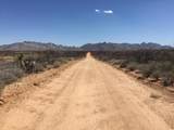 000 Cougar Trail - Photo 23