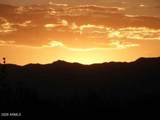 000 Cougar Trail - Photo 29