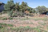 1214 Wagon Trail - Photo 4