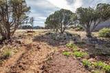 1214 Wagon Trail - Photo 7