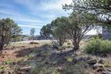 1214 Wagon Trail - Photo 8