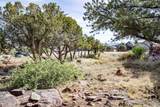 1214 Wagon Trail - Photo 9
