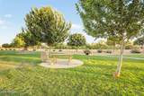 21165 Via Del Oro - Photo 48