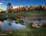 1728 Mossy Oak Court - Photo 42
