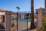 286 Palomino Drive - Photo 33