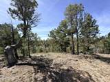 5088 Morning View Drive - Photo 9