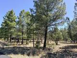 1755 Sugar Pine Drive - Photo 1