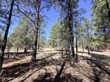 1755 Sugar Pine Drive - Photo 10