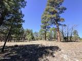 1755 Sugar Pine Drive - Photo 11