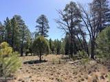 1755 Sugar Pine Drive - Photo 12