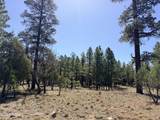 1755 Sugar Pine Drive - Photo 13