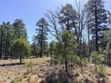 1755 Sugar Pine Drive - Photo 14