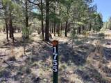 1755 Sugar Pine Drive - Photo 2