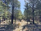 1755 Sugar Pine Drive - Photo 3