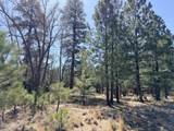 1755 Sugar Pine Drive - Photo 4
