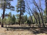 1755 Sugar Pine Drive - Photo 5