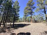 1755 Sugar Pine Drive - Photo 8