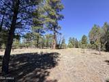 1755 Sugar Pine Drive - Photo 9