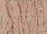 00 Ocotillo Road - Photo 1