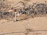 66XXX I-8 Interstate Frontage - Photo 18
