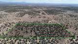 TBD Ali Chuck Rd 5 Acres - Photo 13