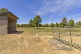 13428 Keith Drive - Photo 54