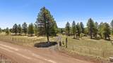 13428 Keith Drive - Photo 55