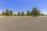 13428 Keith Drive - Photo 62