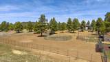 13428 Keith Drive - Photo 69