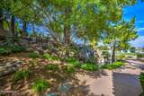 2201 Tahitian Way - Photo 103