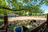 2933 Middle Verde Road - Photo 37