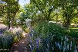 2933 Middle Verde Road - Photo 4