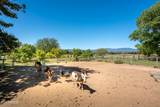 2933 Middle Verde Road - Photo 51