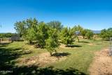 2933 Middle Verde Road - Photo 52