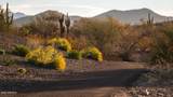2121 Sonoran Desert Drive - Photo 40
