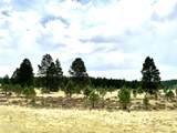 001 Hart Praire Rd - Photo 8
