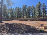 2336 Shaded Spring Trail - Photo 2