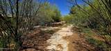 626 7TH Street - Photo 6