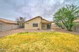 39942 Passaro Drive - Photo 33