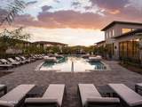 2121 Sonoran Desert Drive - Photo 12