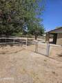 5339 La Mirada Drive - Photo 11