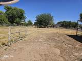 5339 La Mirada Drive - Photo 6