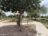 21063 Calle De Flores - Photo 39