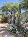 875 Monte Vista Trail - Photo 13