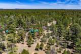 2154 Saddle Blanket Road - Photo 39