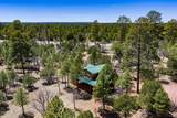 2154 Saddle Blanket Road - Photo 57