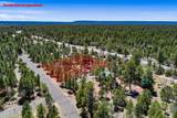 2118 Saddle Blanket Road - Photo 4